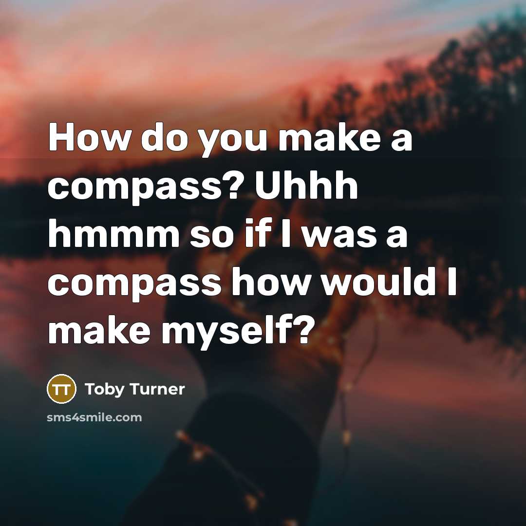 “How do you make a compass? Uhhh hmmm so if…” quote by Toby Turner