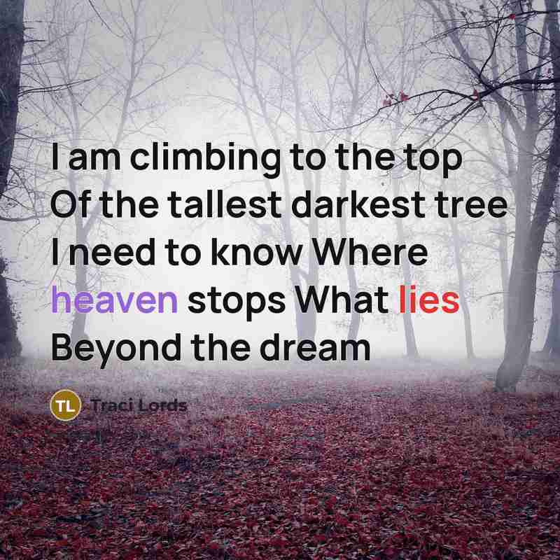 “I am climbing to the top Of the tallest darkest…” quote by Traci Lords