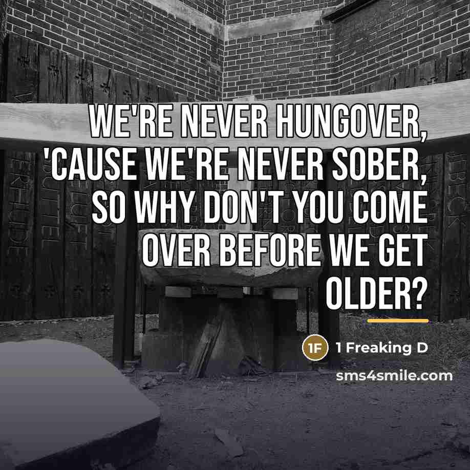 “We're never hungover, 'cause we're never sober, so why don't…” quote by 1 Freaking D