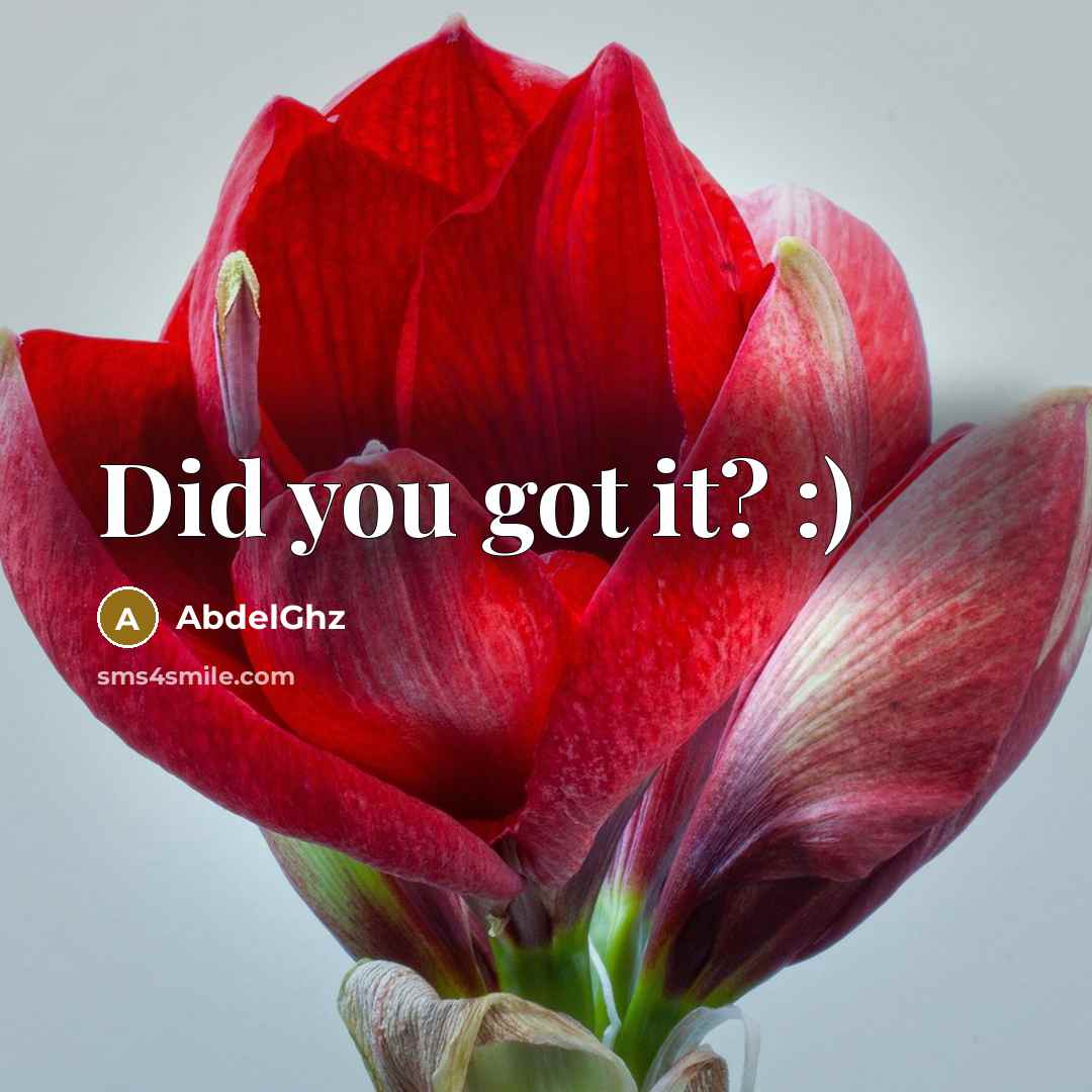“Did you got it? :)…” quote by AbdelGhz