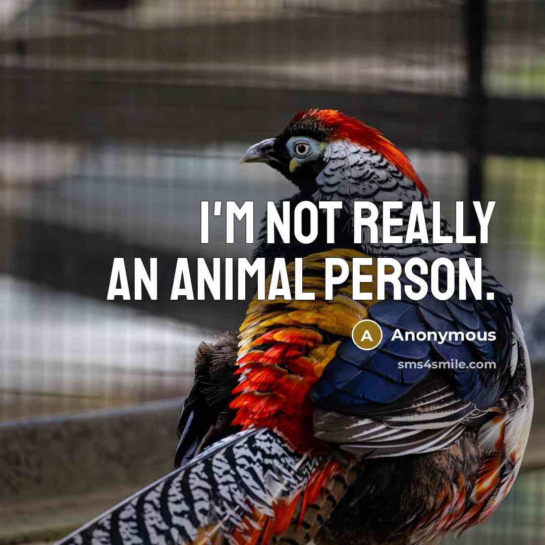 “I'm not really an animal person.…” quote by Anonymous