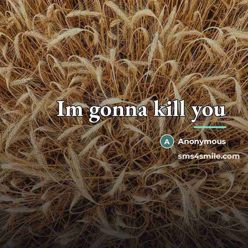 “Im gonna kill you…” quote by Anonymous