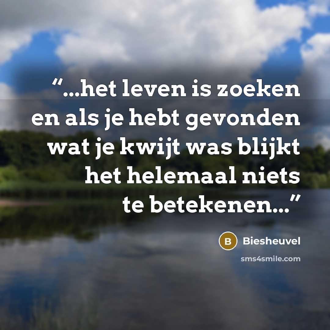“...het leven is zoeken en als je hebt gevonden wat je kwijt was blijkt het helemaal niets te betekenen...” quote by Biesheuvel