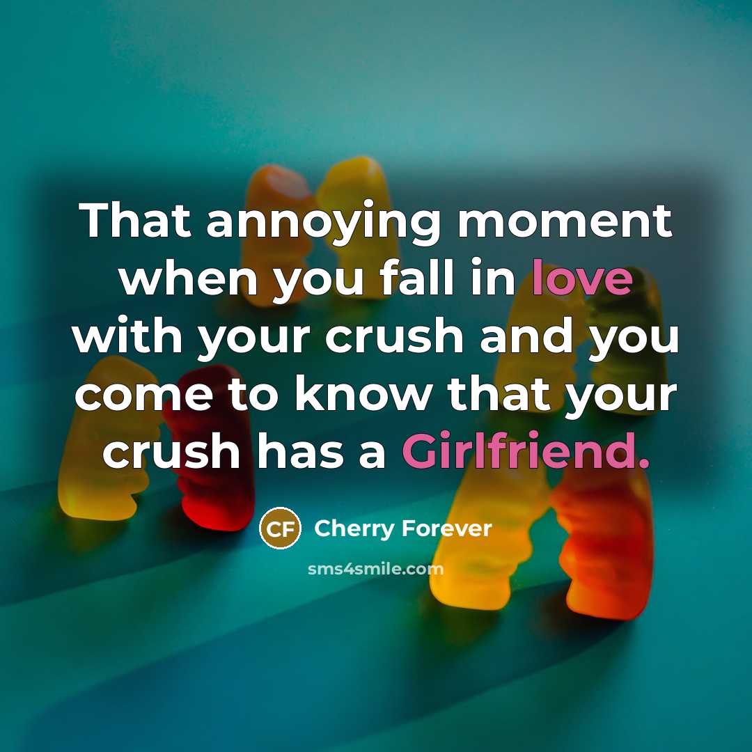 “That annoying moment when you fall in love with your crush and you come to know that your crush has a Girlfriend.” quote by Cherry Forever