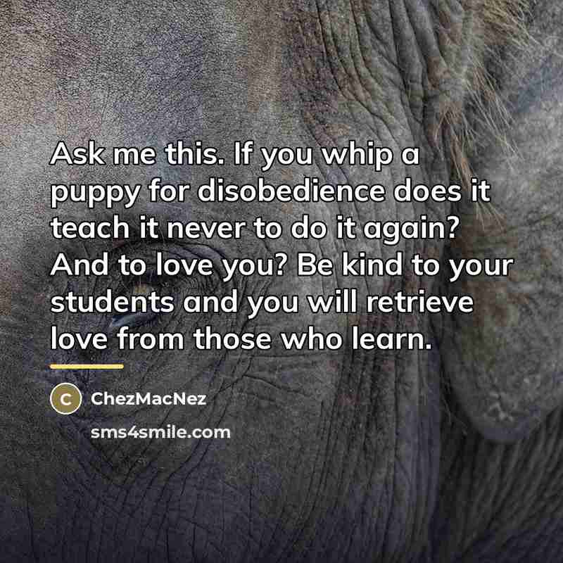 “Ask me this. If you whip a puppy for disobedience…” quote by ChezMacNez