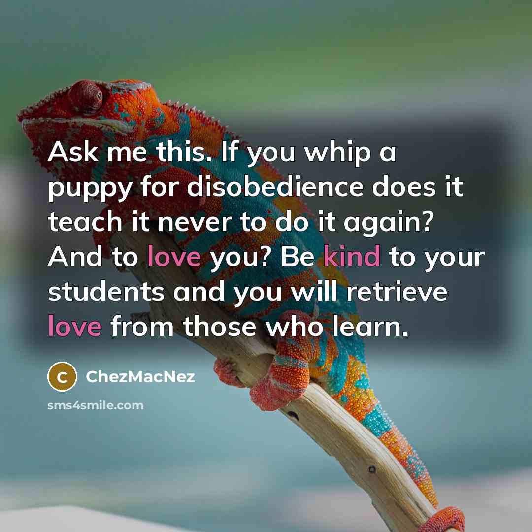 “Ask me this. If you whip a puppy for disobedience does it teach it never to do it again? And to love you? Be kind to your students and you will retrieve love from those who learn.” quote by ChezMacNez