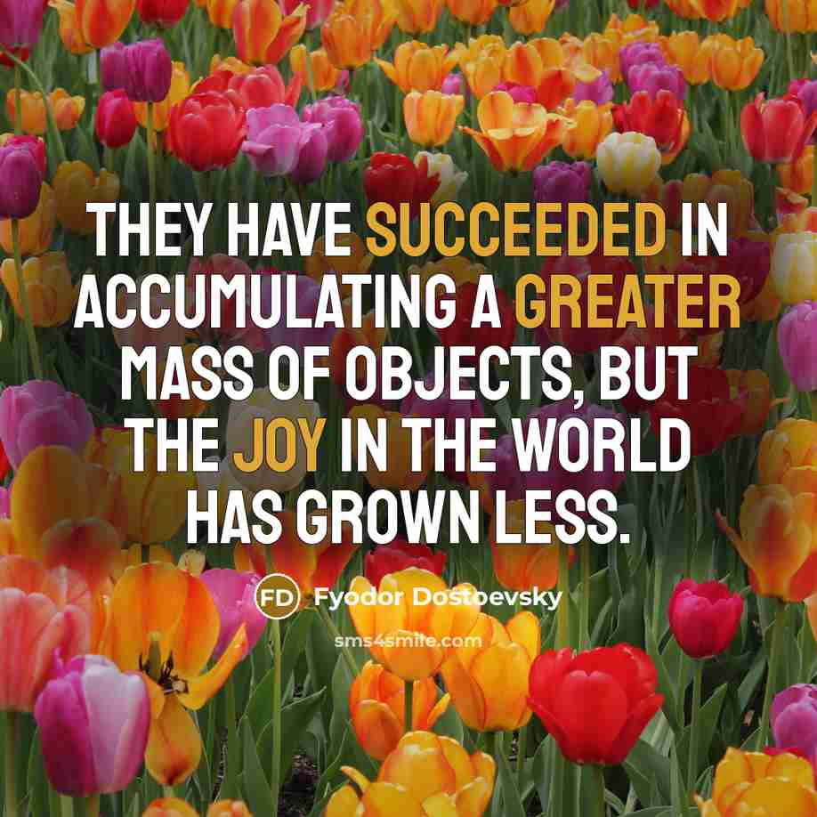 “They have succeeded in accumulating a greater mass of objects, but the joy in the world has grown less.” quote by Fyodor Dostoevsky
