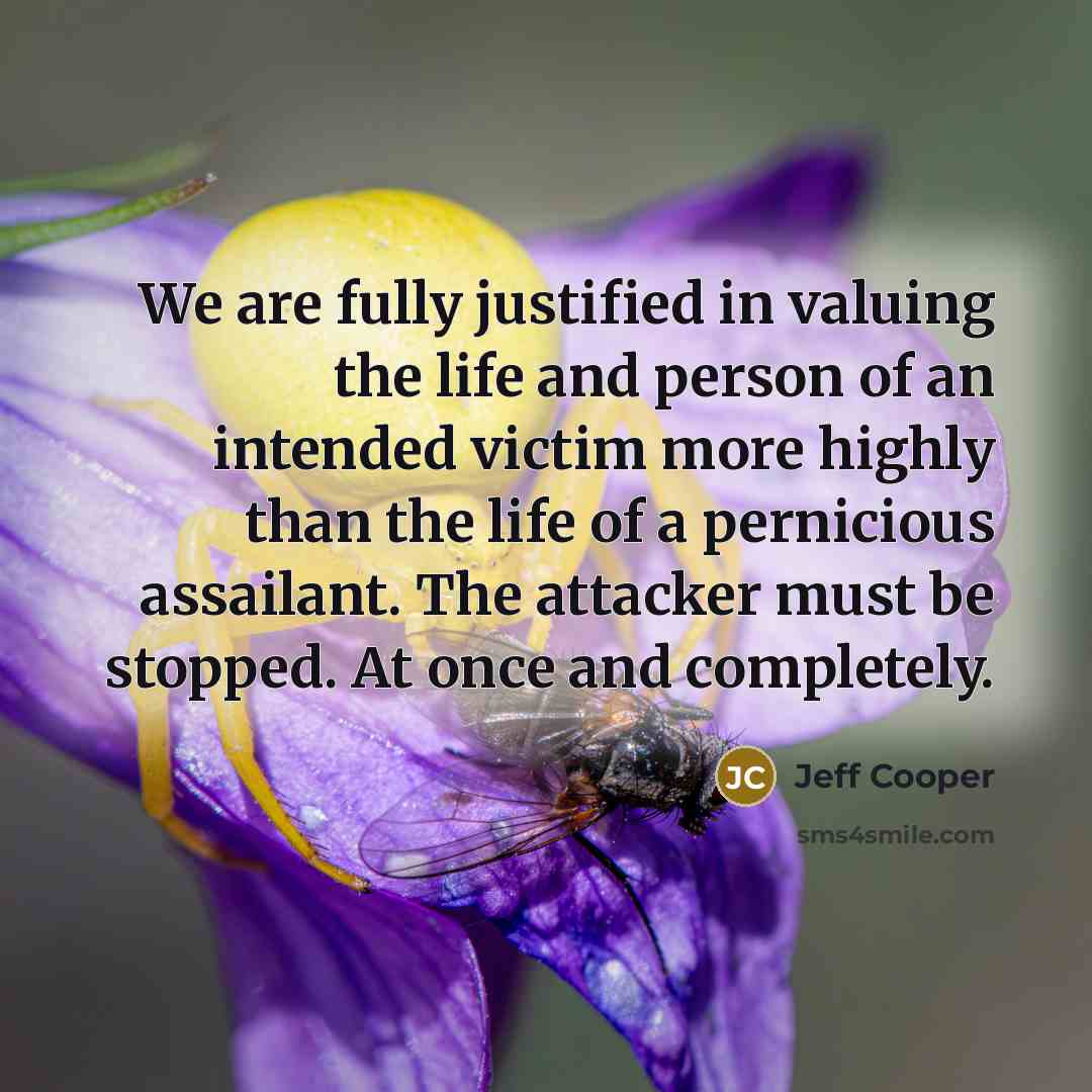 “We are fully justified in valuing the life and person…” quote by Jeff Cooper
