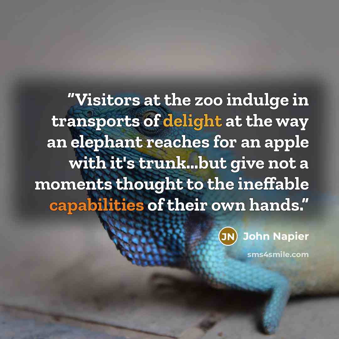 “Visitors at the zoo indulge in transports of delight at the way an elephant reaches for an apple with it's trunk…but give not a moments thought to the ineffable capabilities of their own hands.” quote by John Napier