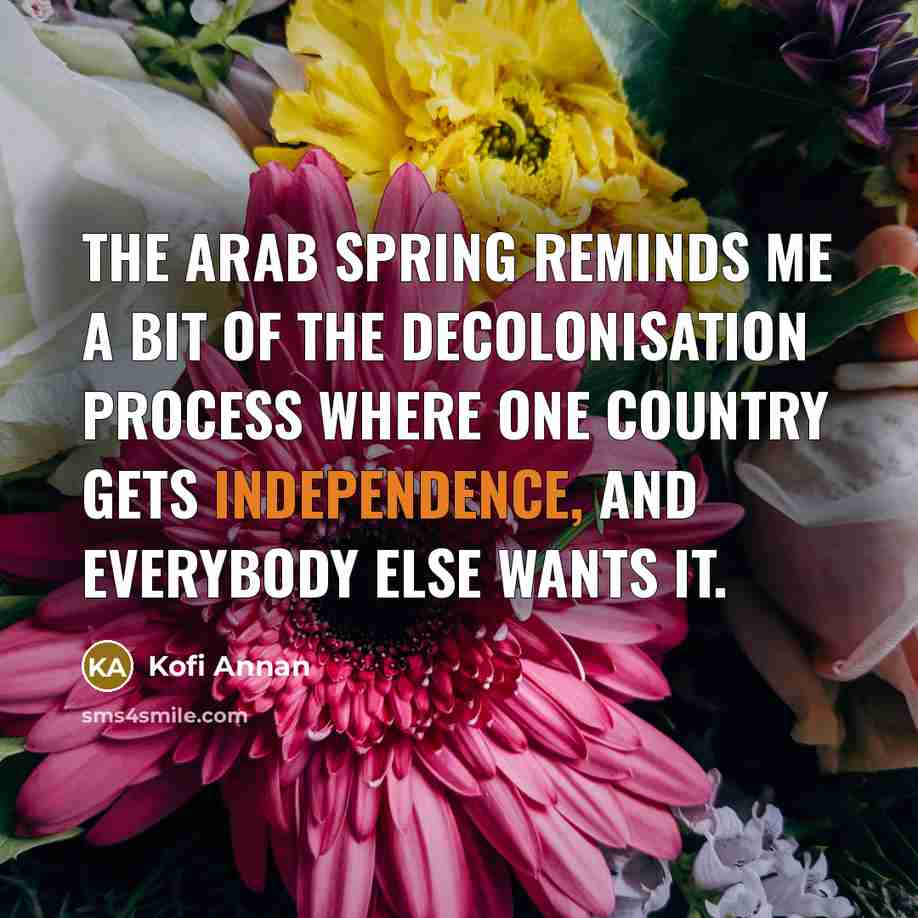 “The Arab Spring reminds me a bit of the decolonisation…” quote by Kofi Annan