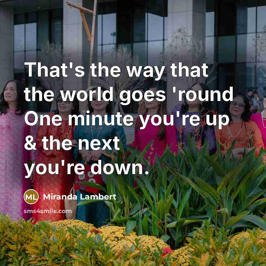 “That's the way that the world goes 'round One minute you're up & the next you're down.” quote by Miranda Lambert