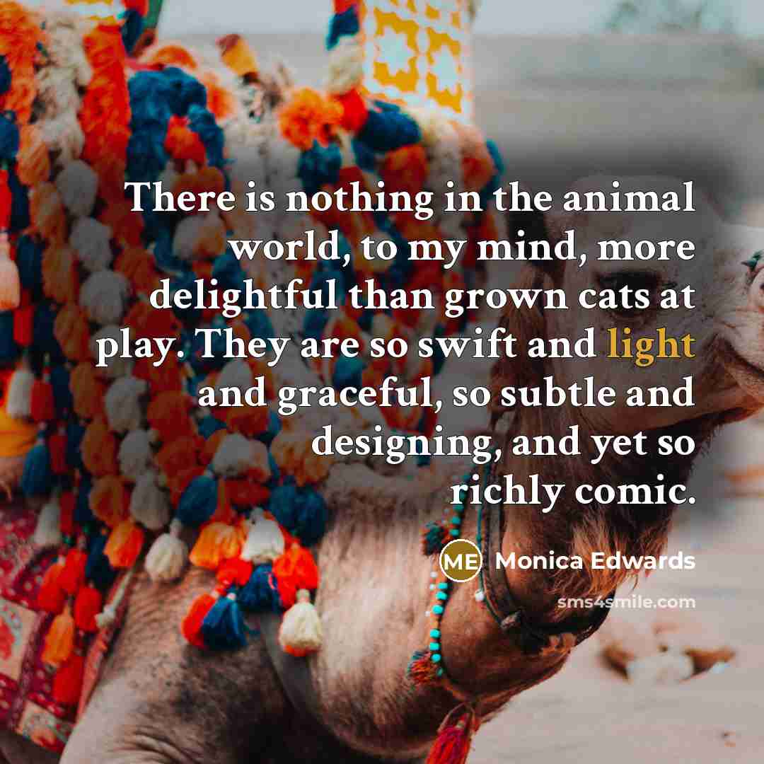 “There is nothing in the animal world, to my mind,…” quote by Monica Edwards