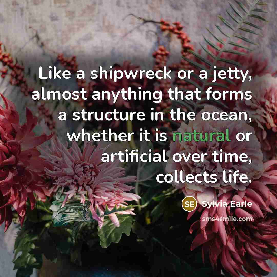 “Like a shipwreck or a jetty, almost anything that forms…” quote by Sylvia Earle