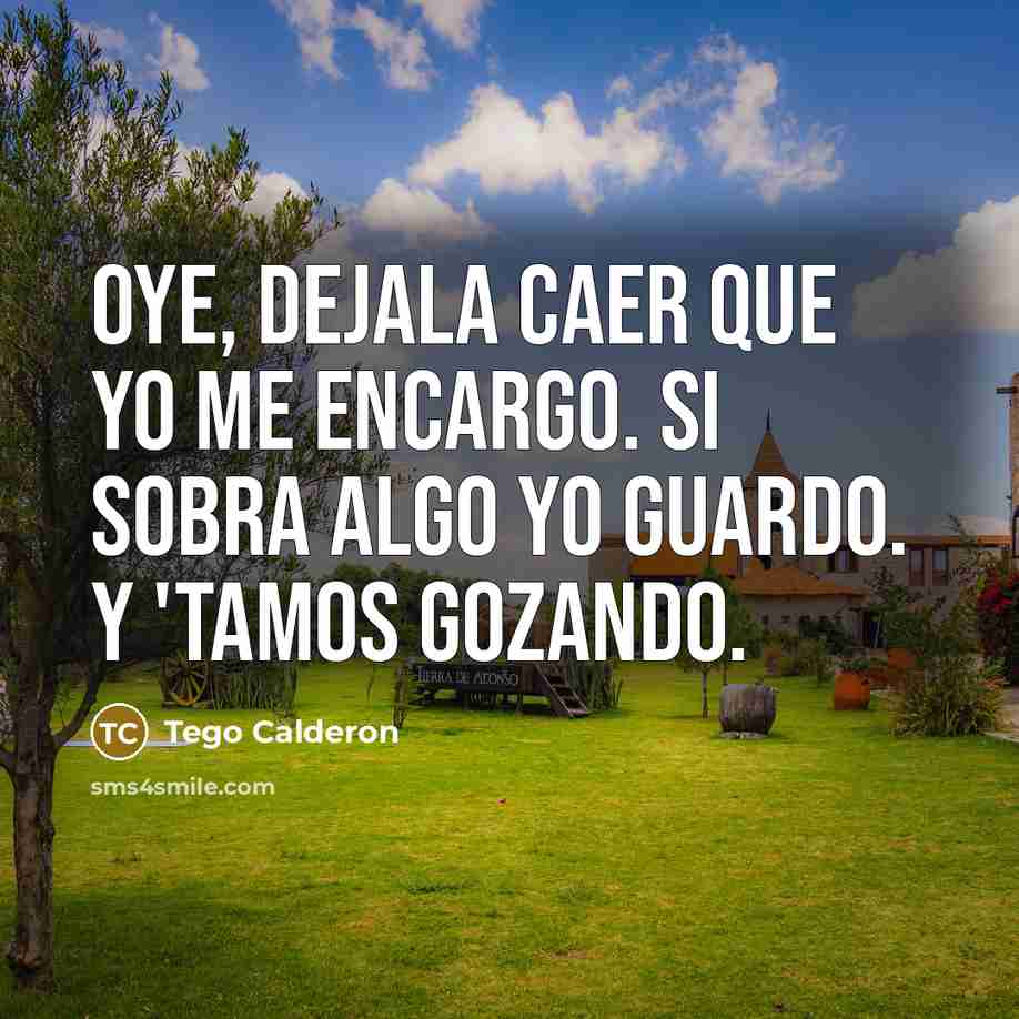 “Oye, dejala caer que yo me encargo. Si sobra algo yo guardo. Y 'tamos gozando.” quote by Tego Calderon
