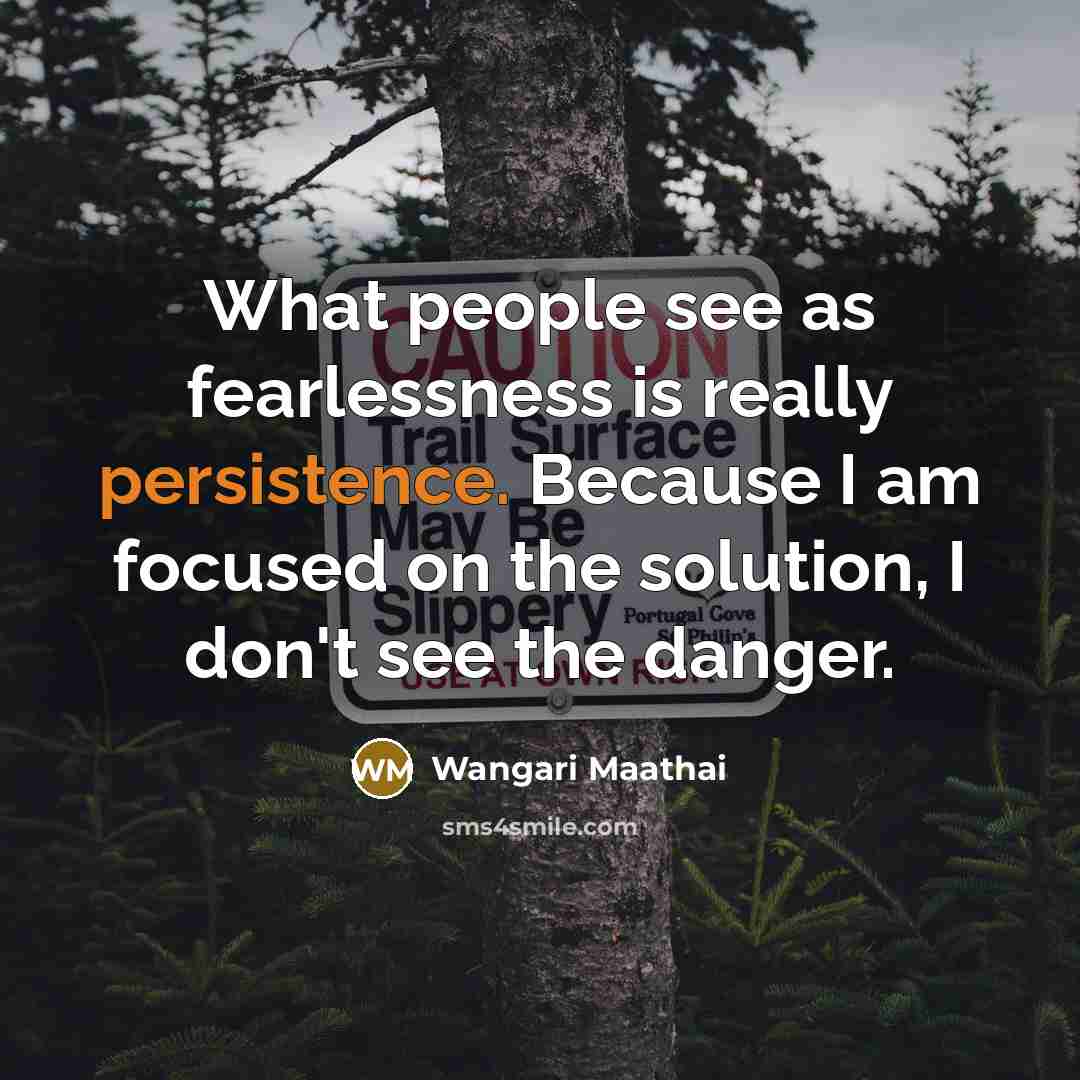 “What people see as fearlessness is really persistence. Because I…” quote by Wangari Maathai