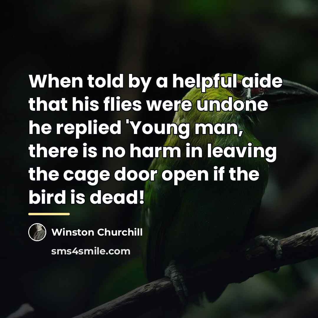 “When told by a helpful aide that his flies were…” quote by Winston Churchill