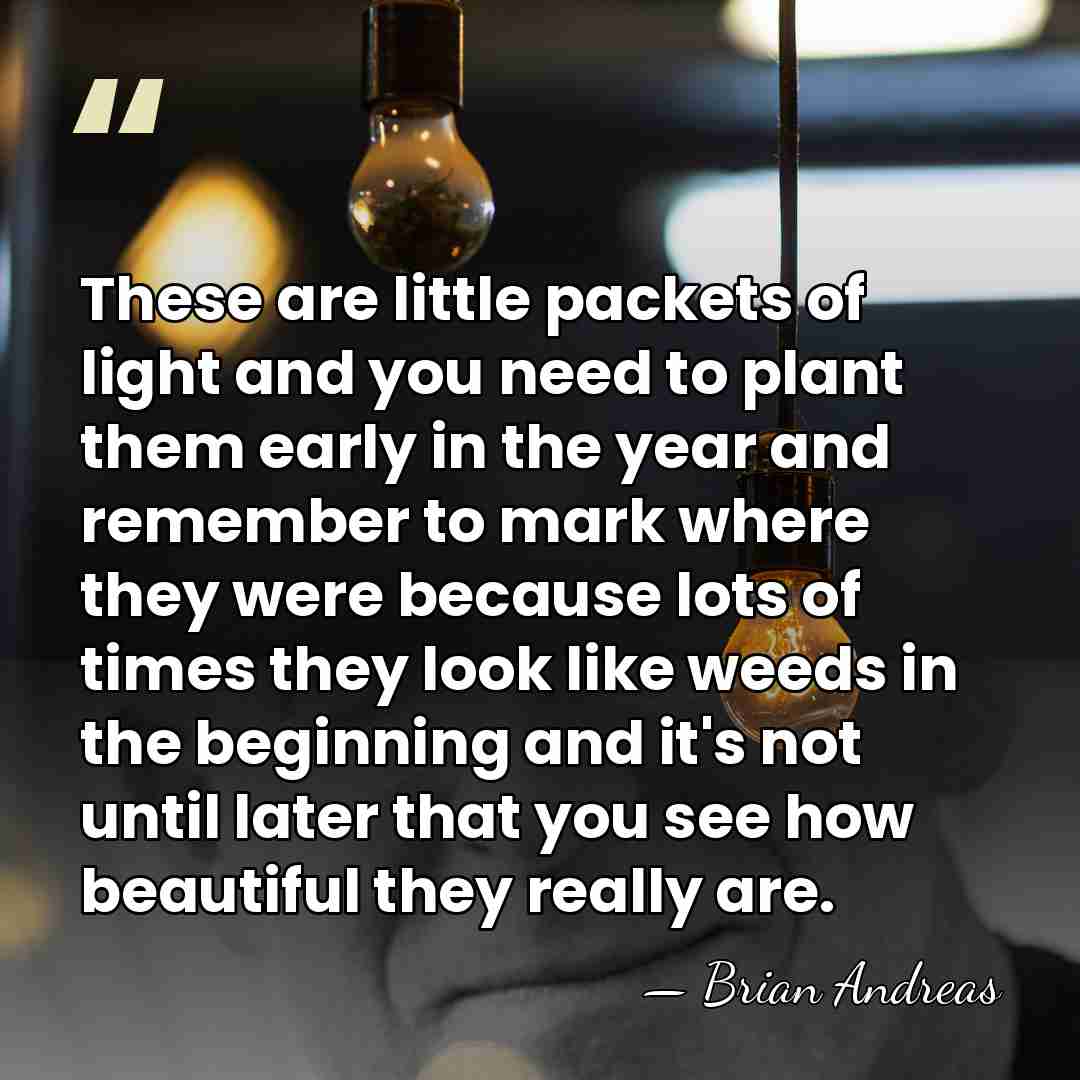 These are little packets of light and you need to plant them&hellip; - Brian Andreas