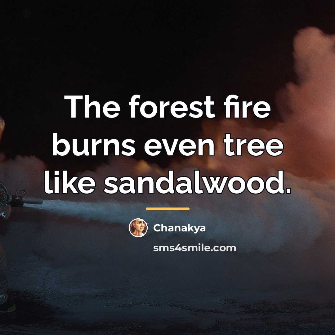 “The forest fire burns even tree like sandalwood.…” quote by Chanakya