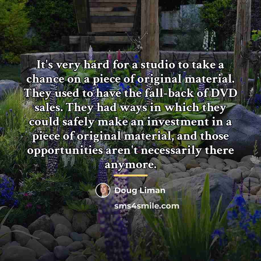 “It's very hard for a studio to take a chance…” quote by Doug Liman