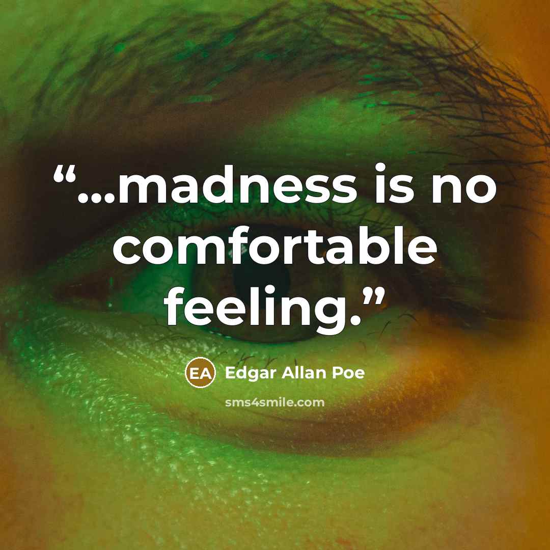 “...madness is no comfortable feeling.” quote by Edgar Allan Poe