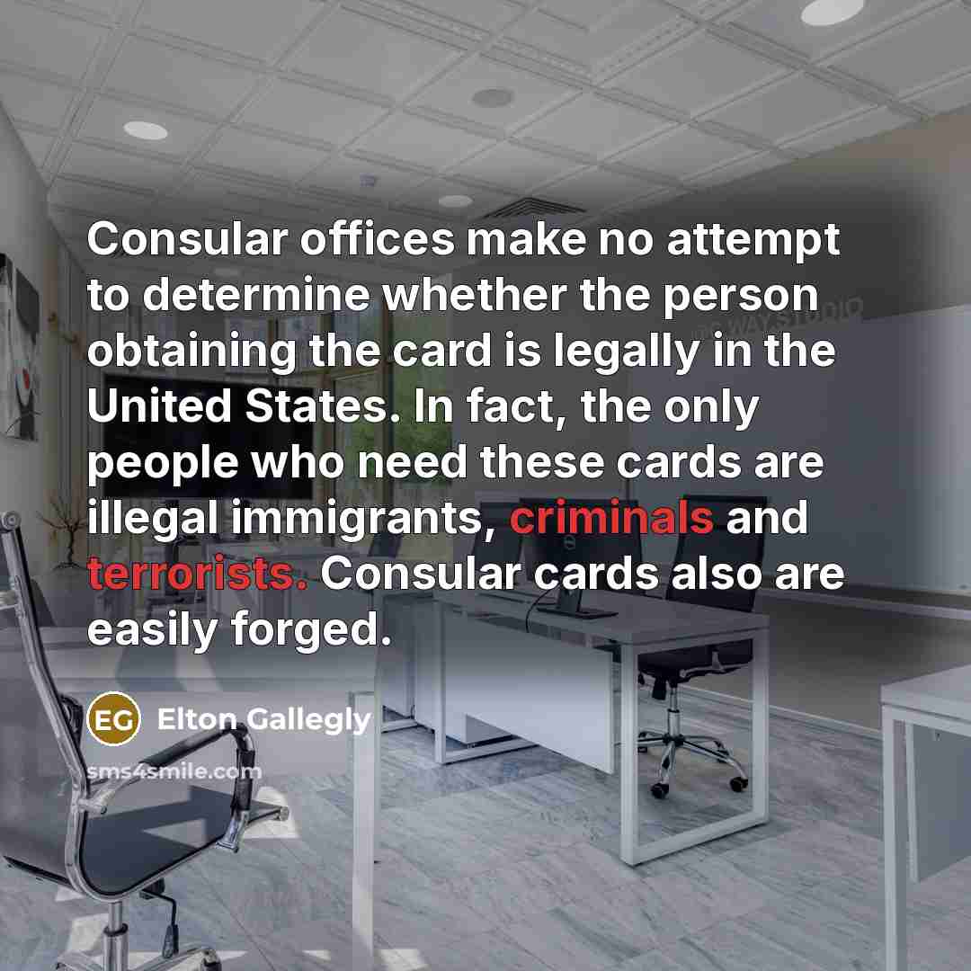 “Consular offices make no attempt to determine whether the person…” quote by Elton Gallegly