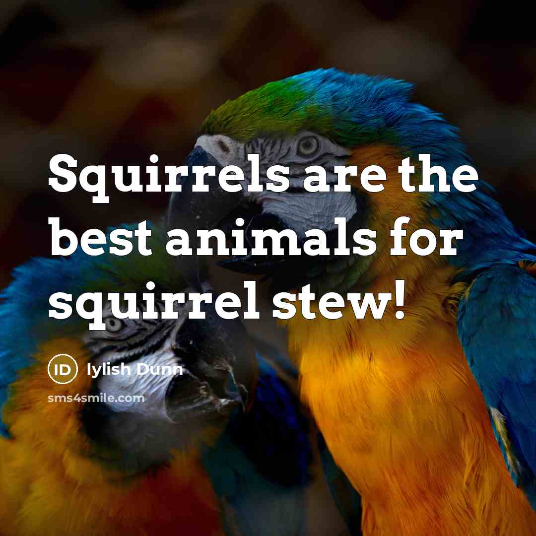 “Squirrels are the best animals for squirrel stew!” quote by Iylish Dunn