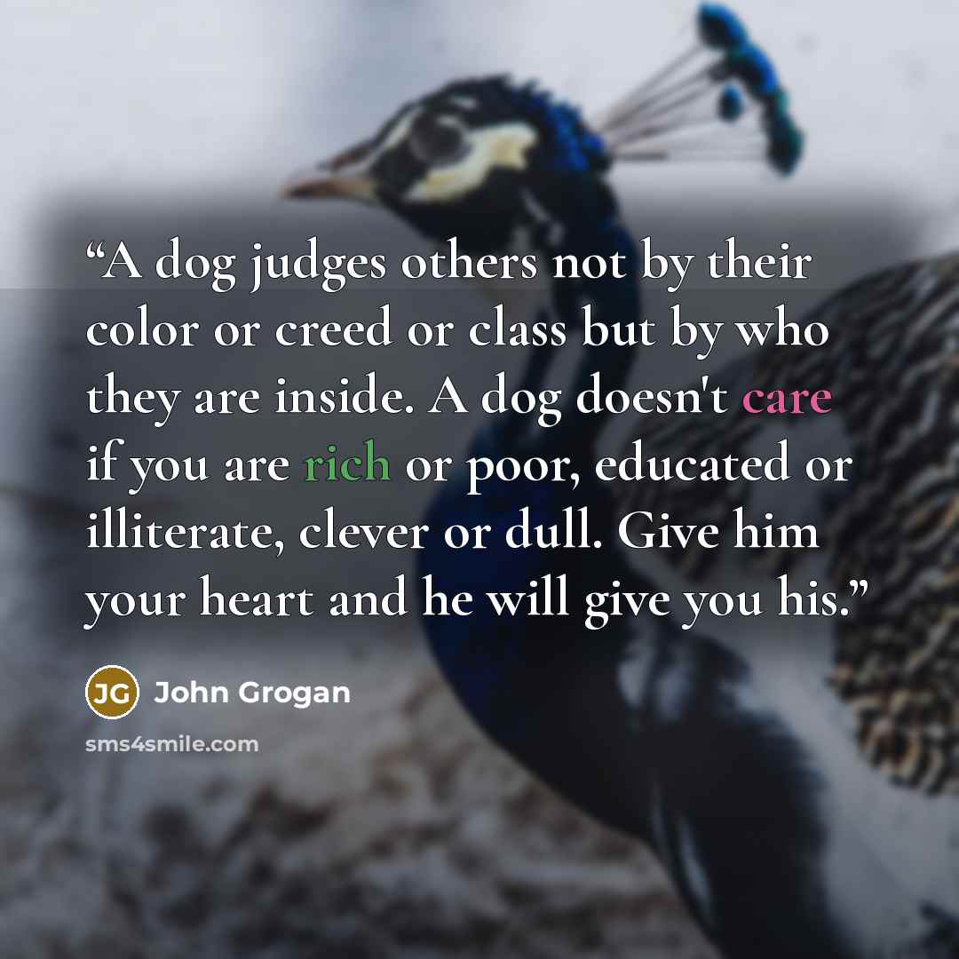 “A dog judges others not by their color or creed or class but by who they are inside. A dog doesn't care if you are rich or poor, educated or illiterate, clever or dull. Give him your heart and he will give you his.” quote by John Grogan