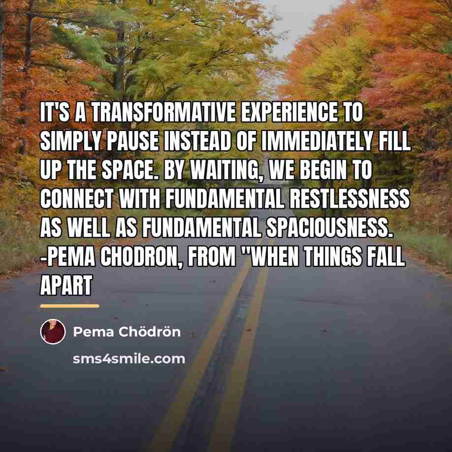 “It's a transformative experience to simply pause instead of immediately…” quote by Pema Chodron