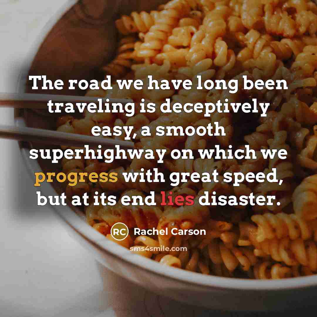 “The road we have long been traveling is deceptively easy,…” quote by Rachel Carson