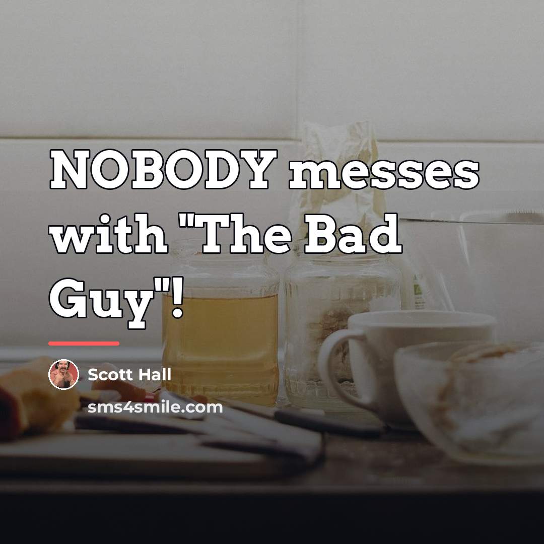 “NOBODY messes with "The Bad Guy"!…” quote by Scott Hall