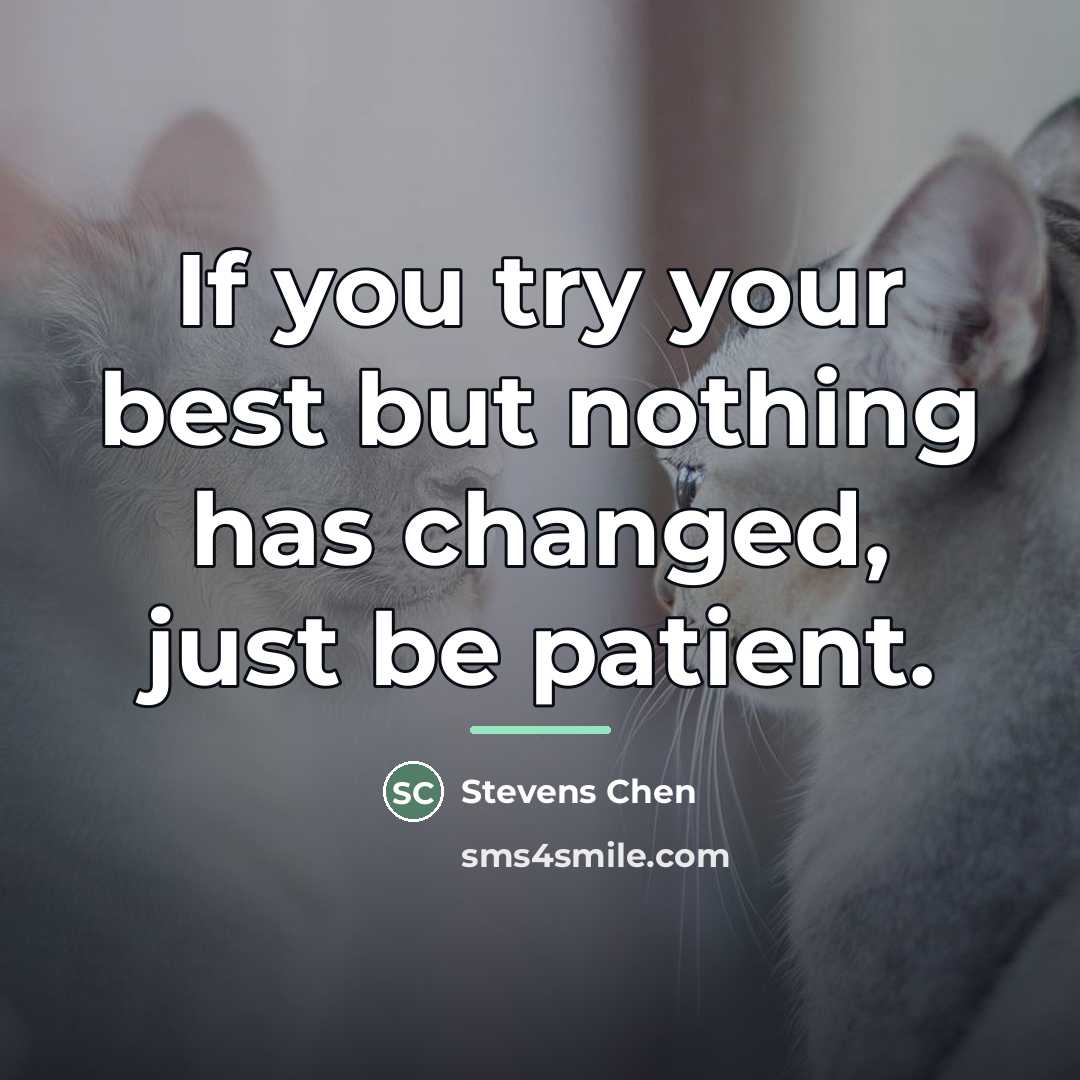 “If you try your best but nothing has changed, just…” quote by Stevens Chen