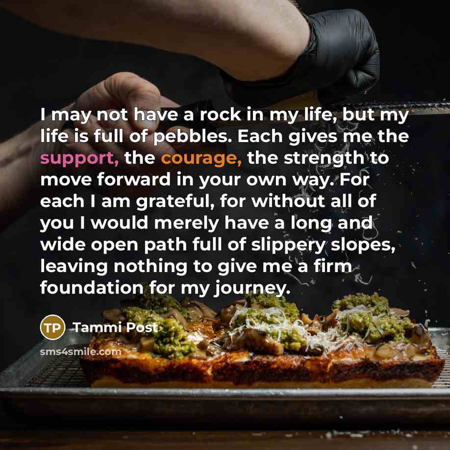 “I may not have a rock in my life, but…” quote by Tammi Post