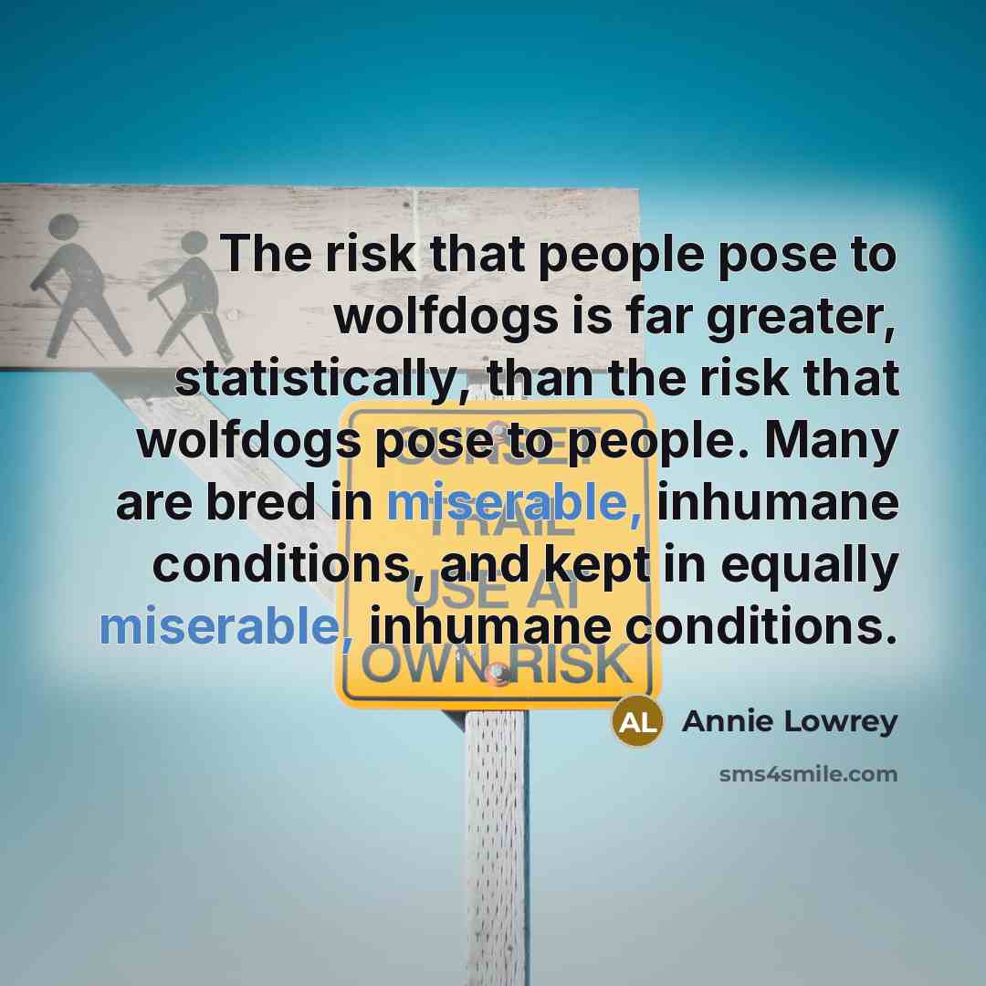 “The risk that people pose to wolfdogs is far greater,…” quote by Annie Lowrey