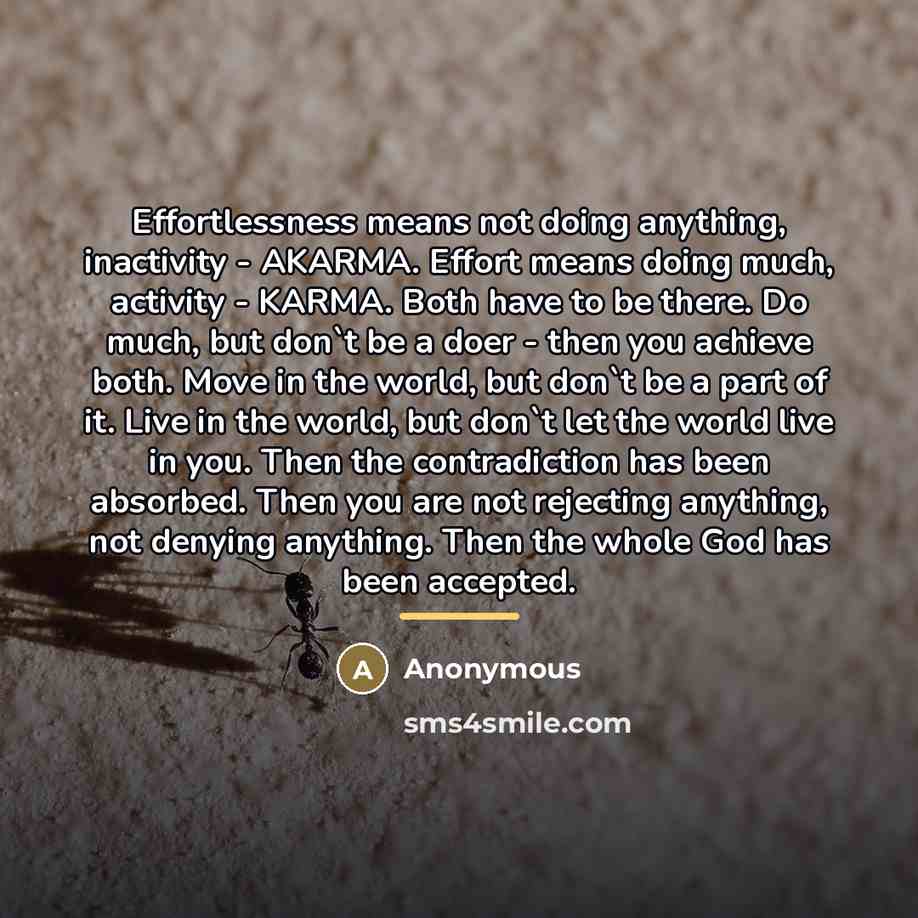 “Effortlessness means not doing anything, inactivity - AKARMA. Effort means…” quote by Anonymous