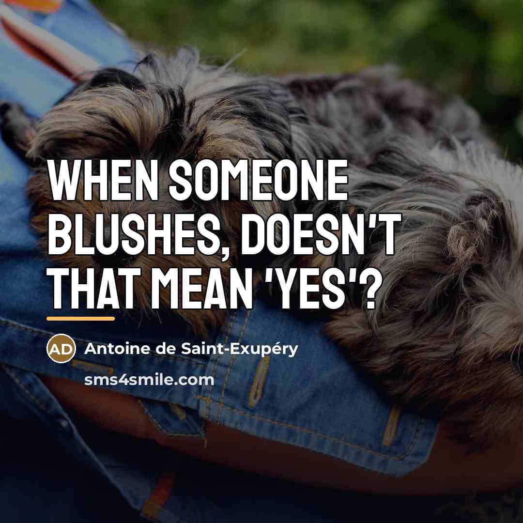 “When someone blushes, doesn't that mean 'yes'?…” quote by Antoine de Saint-Exupery