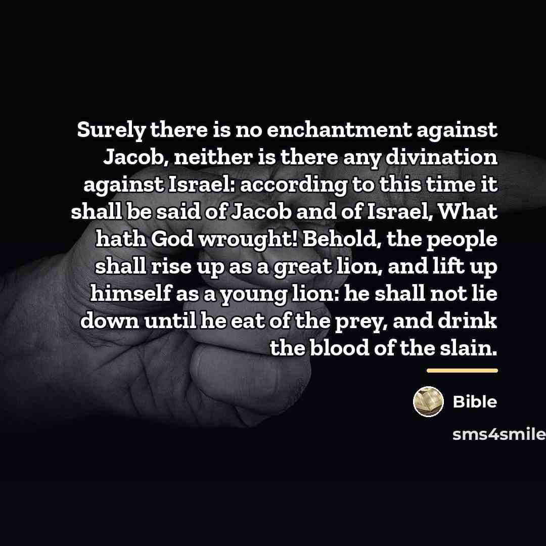 “Surely there is no enchantment against Jacob, neither is there…” quote by Bible