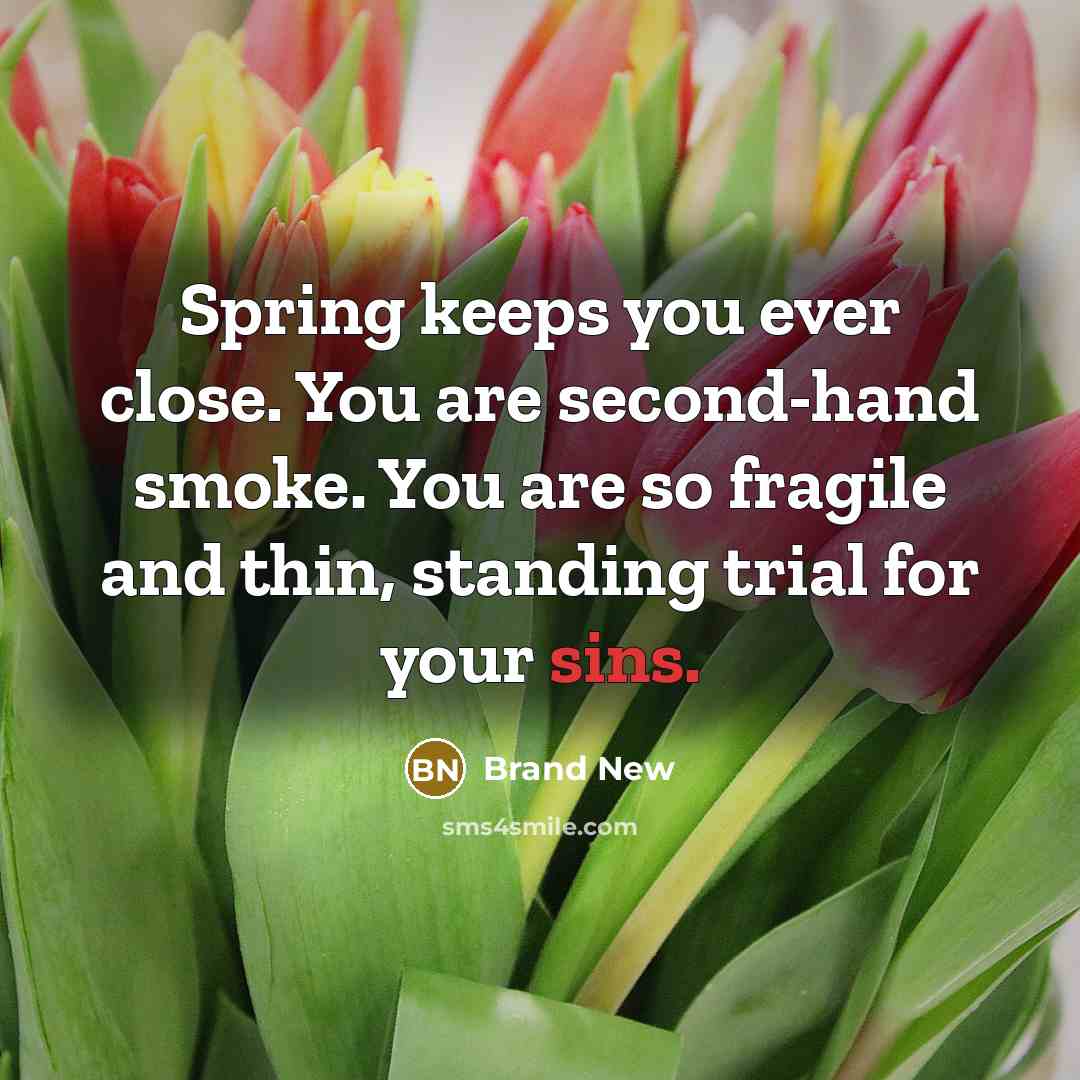 “Spring keeps you ever close. You are second-hand smoke. You are so fragile and thin, standing trial for your sins.” quote by Brand New