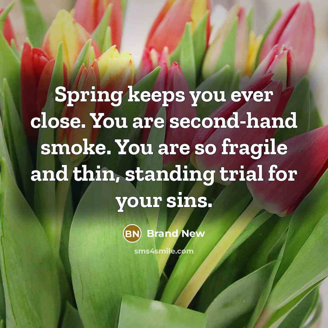 “Spring keeps you ever close. You are second-hand smoke. You…” quote by Brand New
