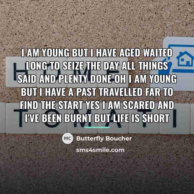 “I am young but I have aged Waited long to…” quote by Butterfly Boucher