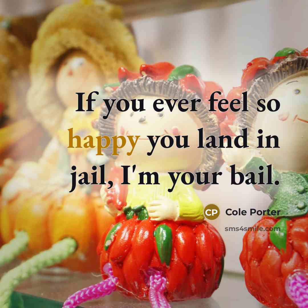 “If you ever feel so happy you land in jail,…” quote by Cole Porter
