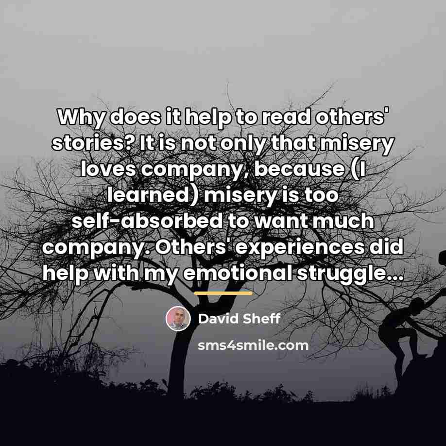 “Why does it help to read others' stories? It is…” quote by David Sheff