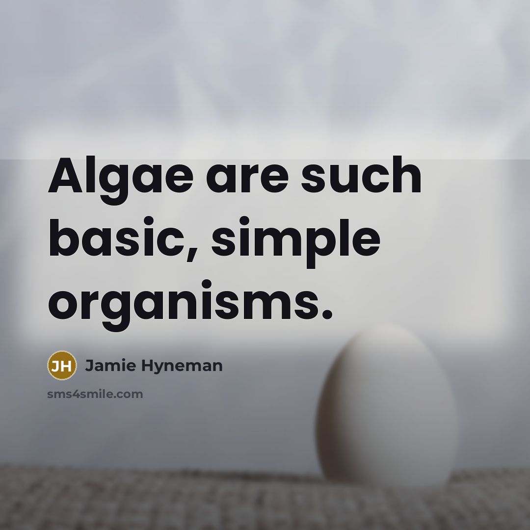 “Algae are such basic, simple organisms.” quote by Jamie Hyneman