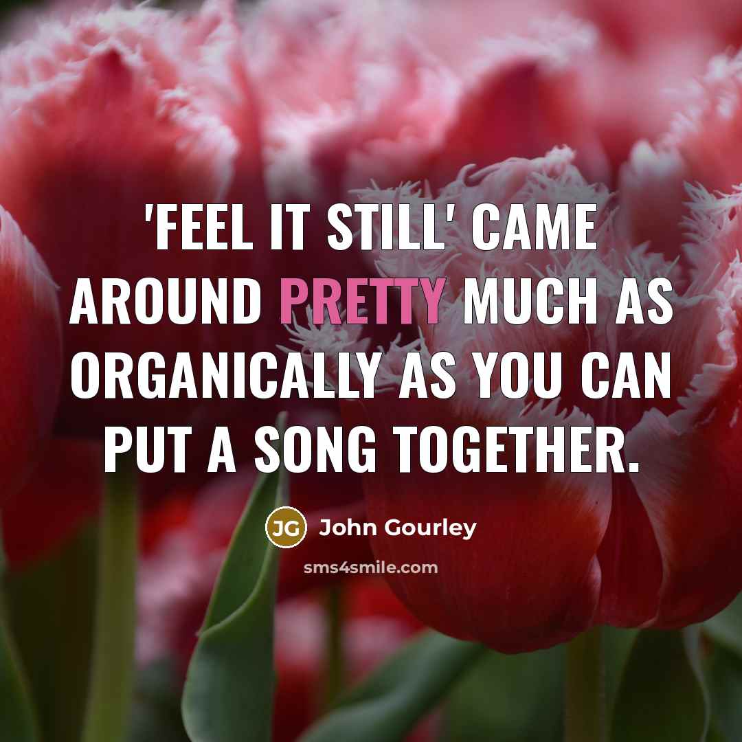 “'Feel It Still' came around pretty much as organically as…” quote by John Gourley