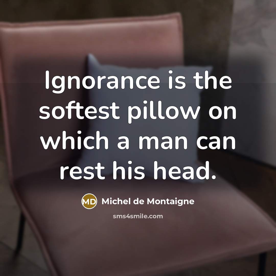 “Ignorance is the softest pillow on which a man can…” quote by Michel de Montaigne