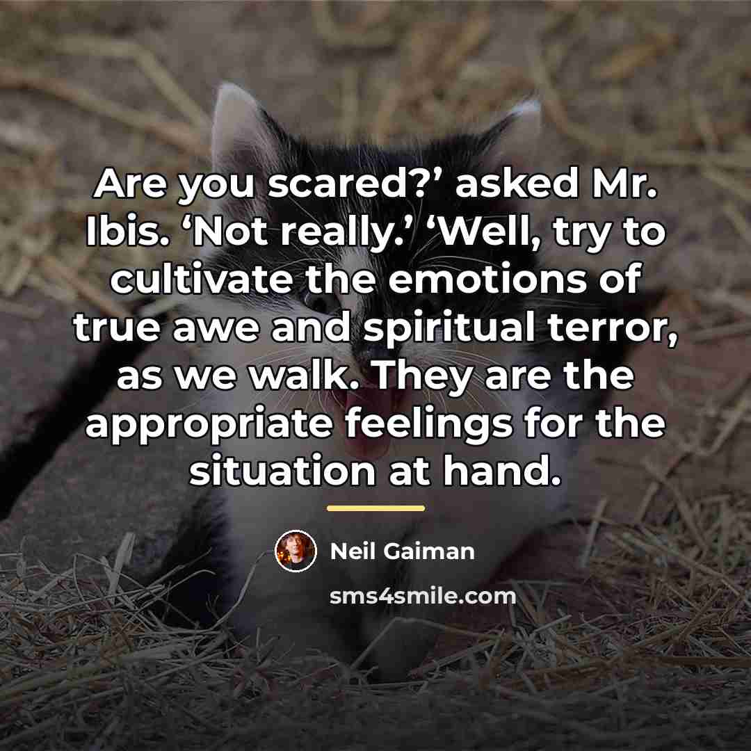 “Are you scared?’ asked Mr. Ibis. ‘Not really.’ ‘Well, try…” quote by Neil Gaiman