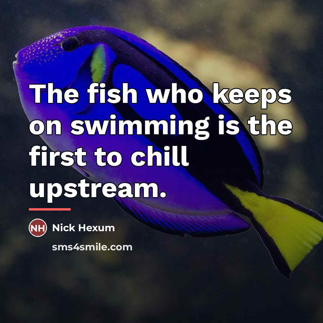 “The fish who keeps on swimming is the first to…” quote by Nick Hexum