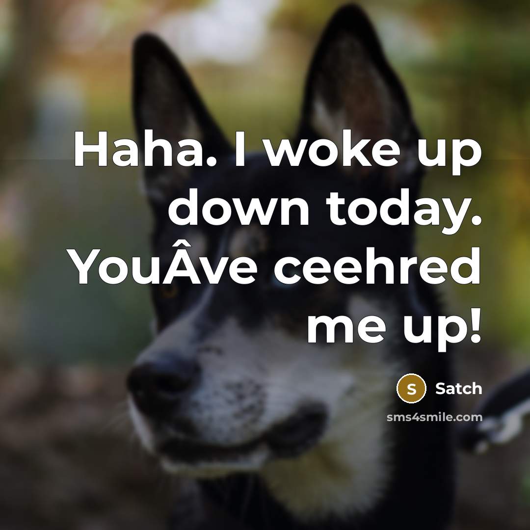 “Haha. I woke up down today. YouÂve ceehred me up!…” quote by Satch