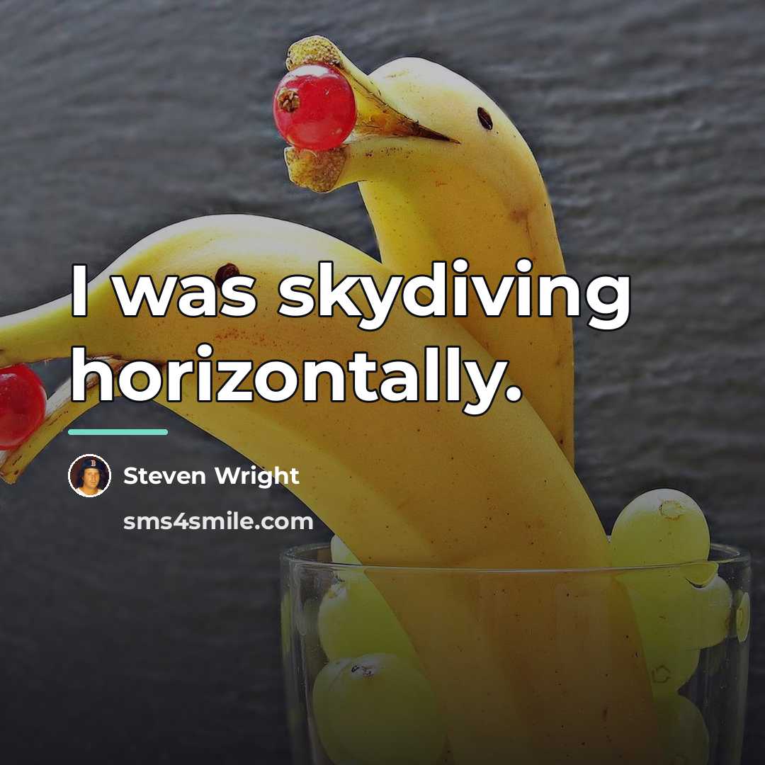 “I was skydiving horizontally.…” quote by Steven Wright