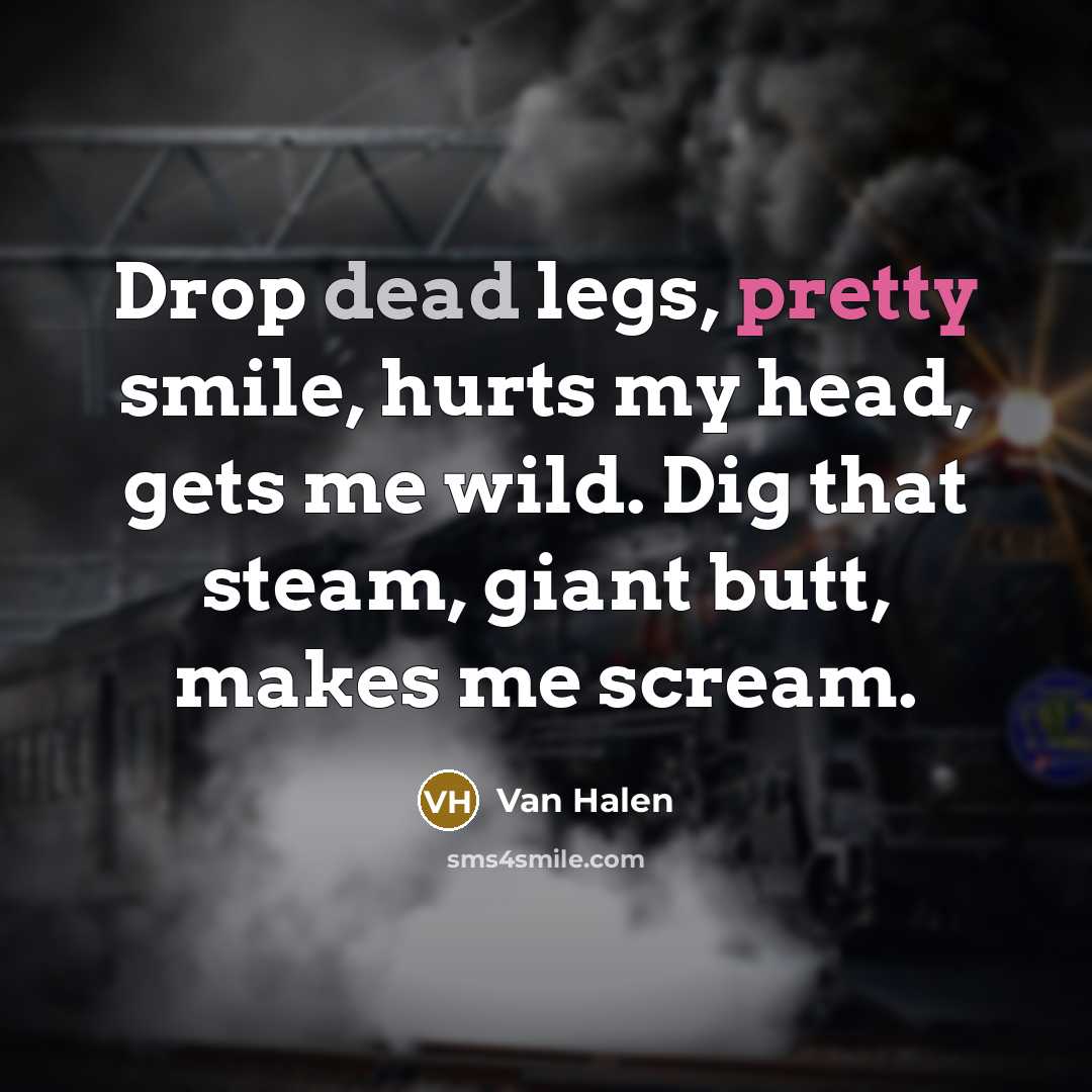 “Drop dead legs, pretty smile, hurts my head, gets me wild. Dig that steam, giant butt, makes me scream.” quote by Van Halen