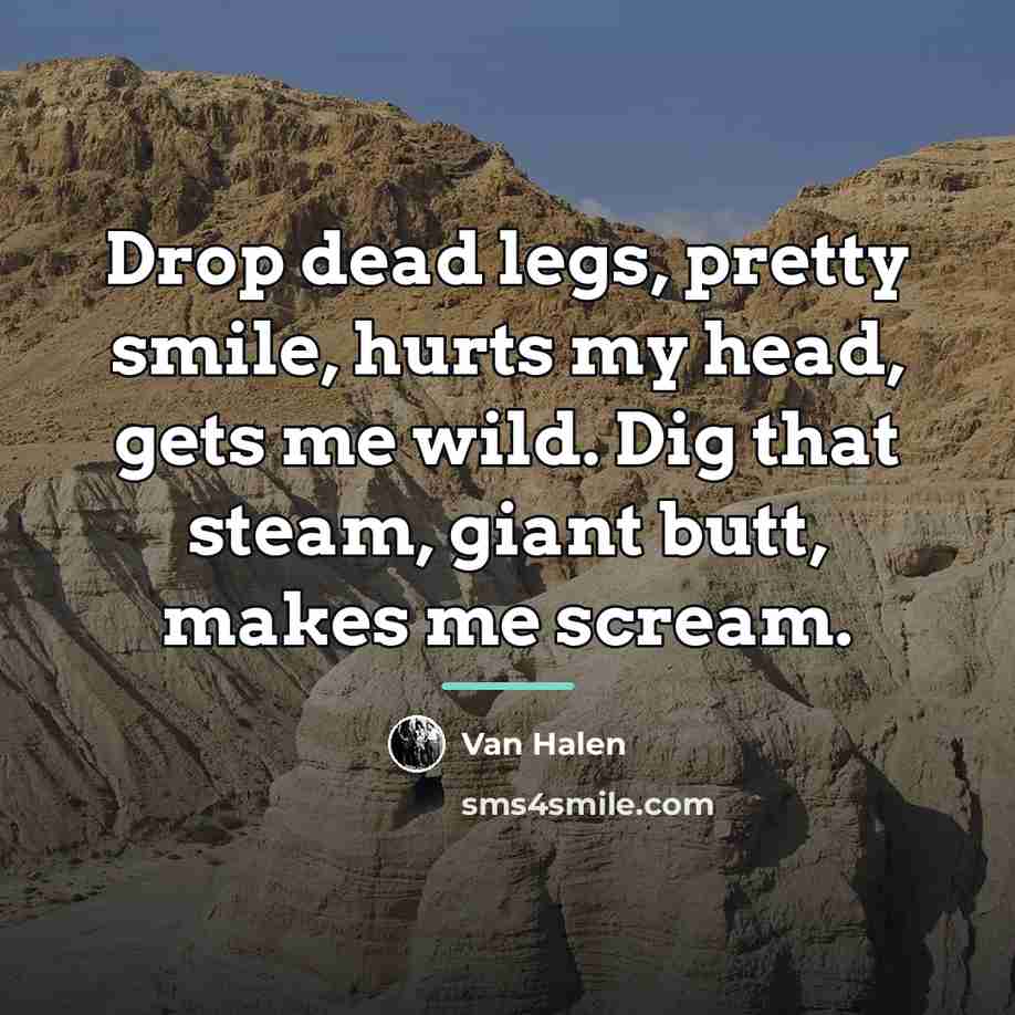 “Drop dead legs, pretty smile, hurts my head, gets me…” quote by Van Halen